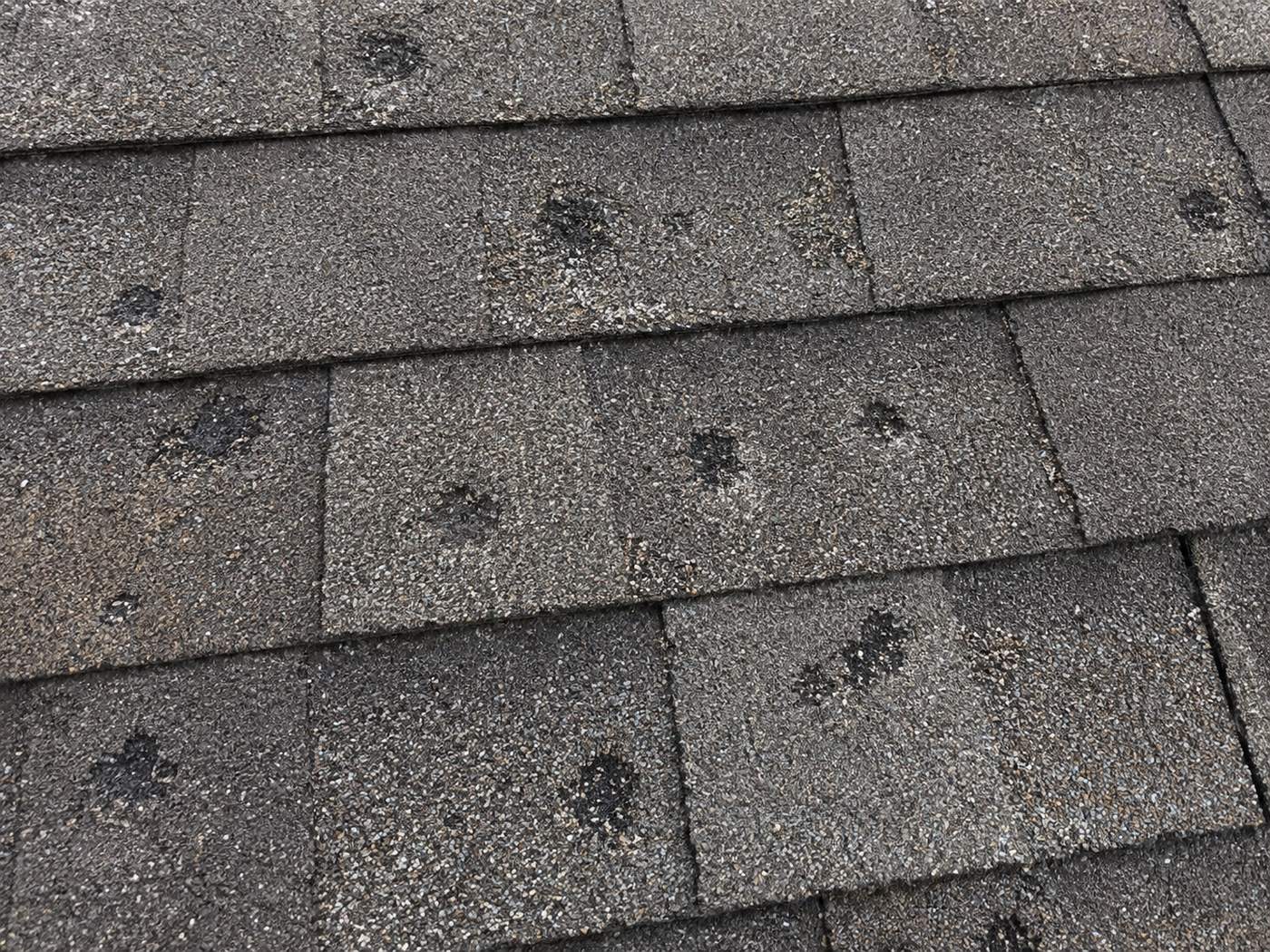Close-up of asphalt shingle roof showing hail impact damage with granule loss.