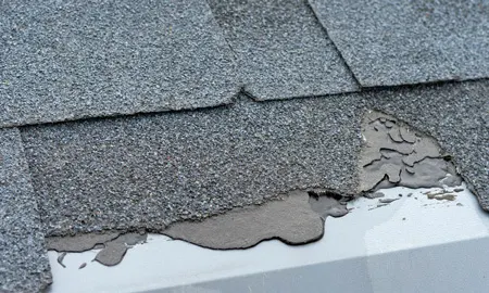 Storm Damage