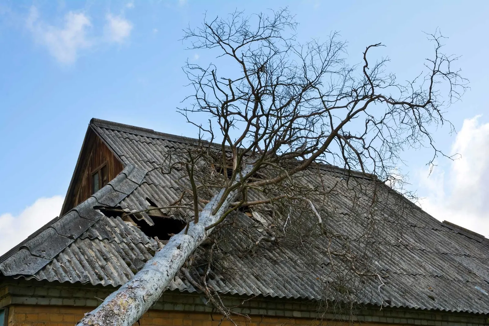The Most Common Causes of Roof Damage in Charleston