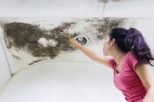 causes of roof damage, when to replace a roof, Charleston