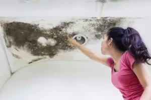 causes of roof damage, when to replace a roof, Charleston