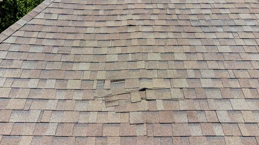 roof repair expert