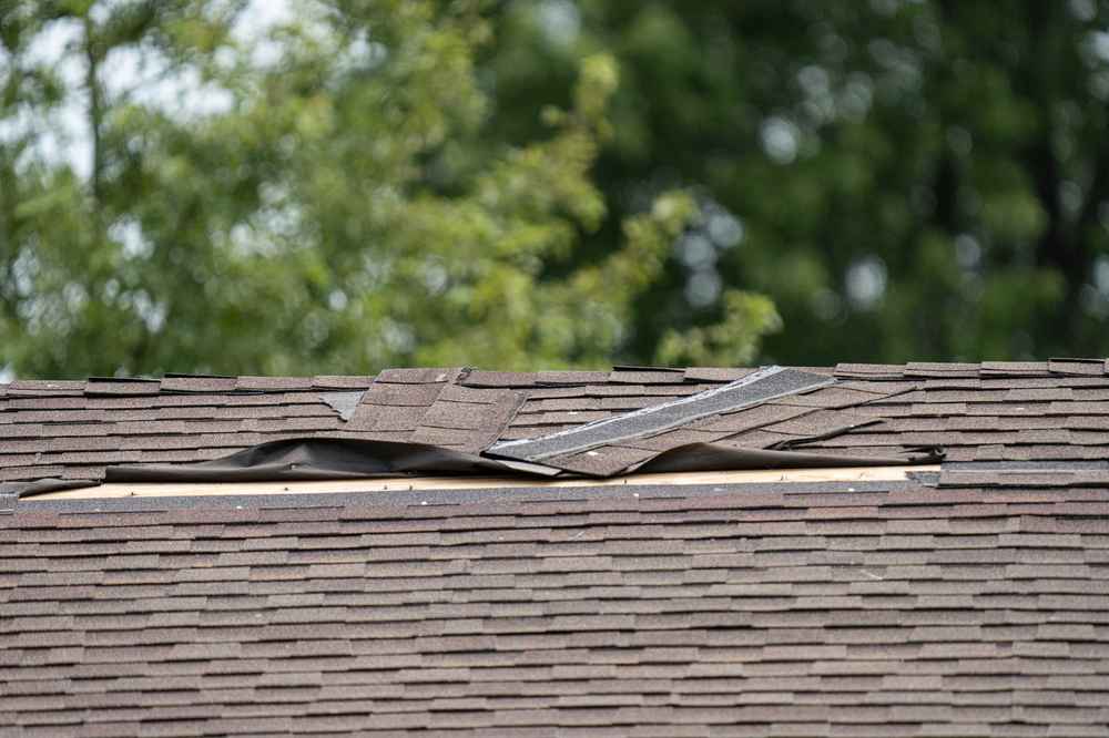 roof repair expert