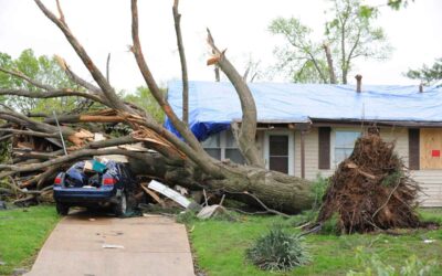 5 Steps to Take after a Storm Damages Your Roof in Charleston