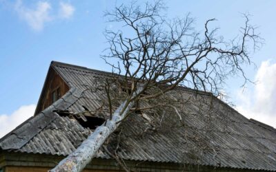 The Most Common Causes of Roof Damage in Charleston