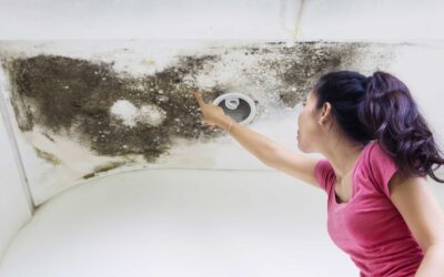 The 7 Most Common Causes of Roof Leaks in Goose Creek Homes