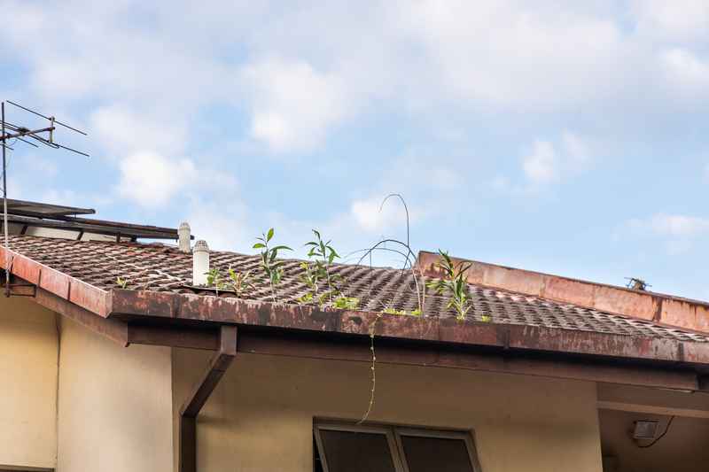 roofing mistakes to watch out for